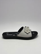 Ladies slipper (LS3205)